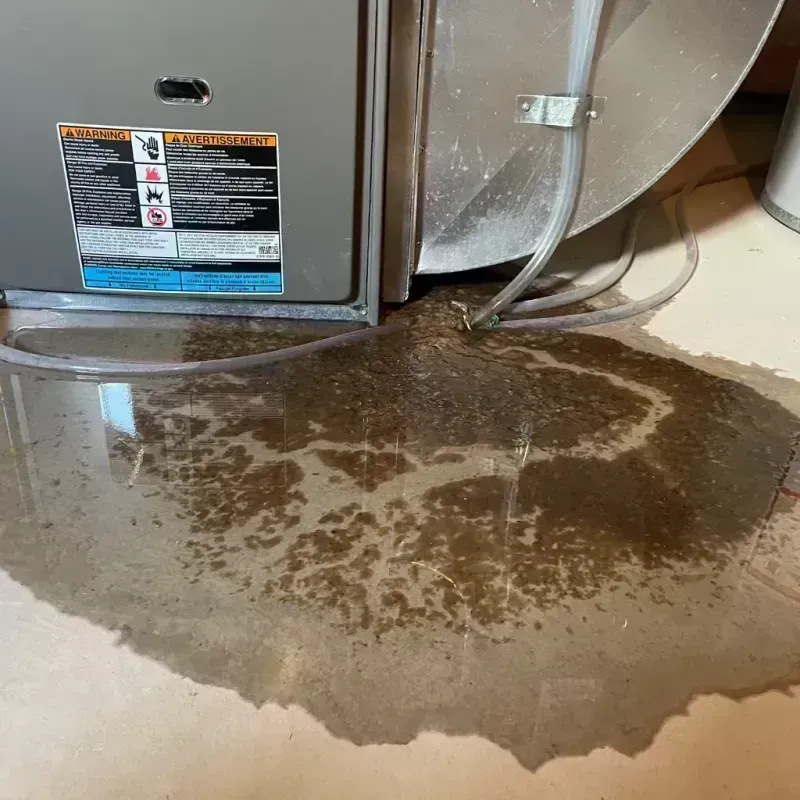 Appliance Leak Cleanup in Oklahoma City, OK